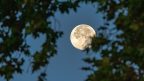istock-1348067386-144x81.jpg